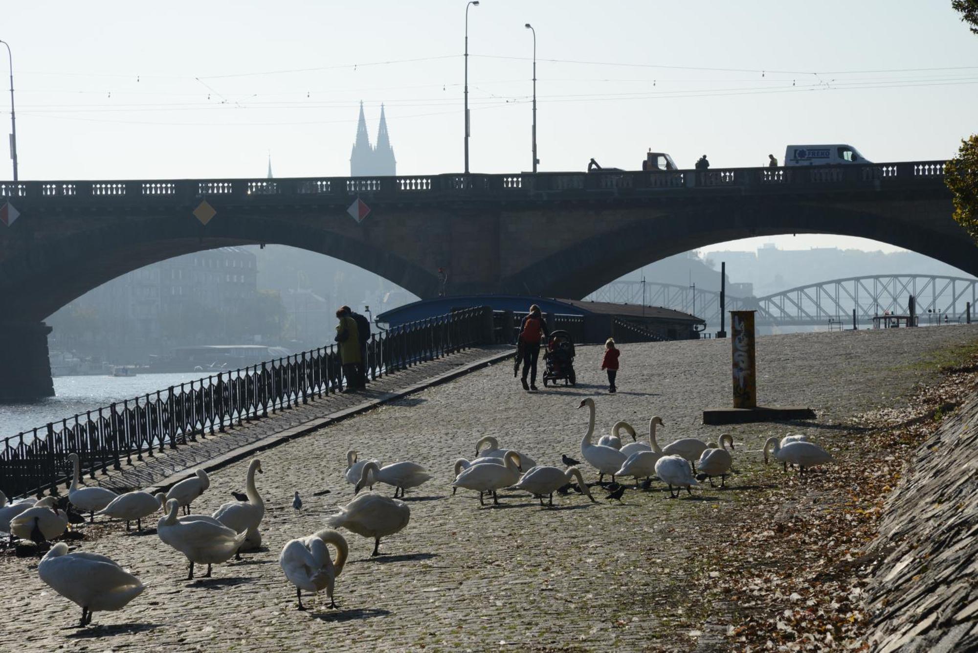 Luxurious 3bed Very Spacious In The Area Apartamento Praga